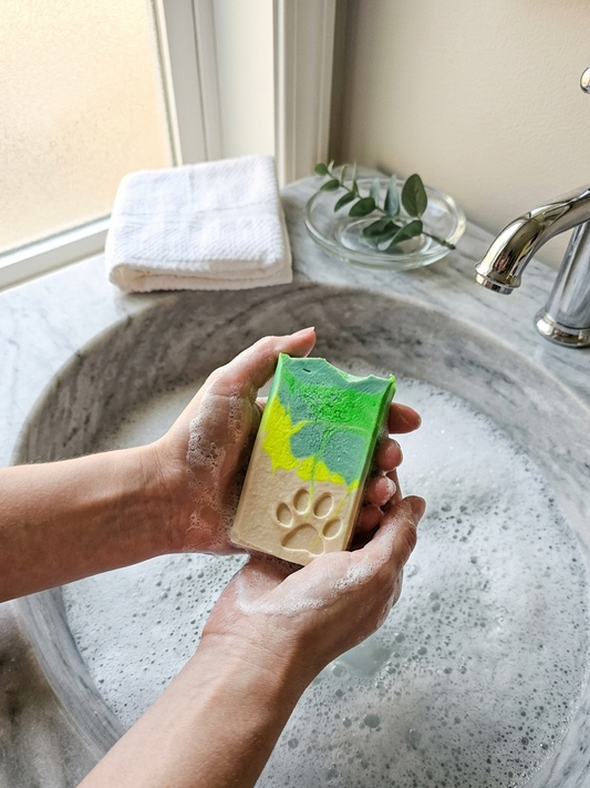 Person holding a bar of soap with a paw print design over a sink.