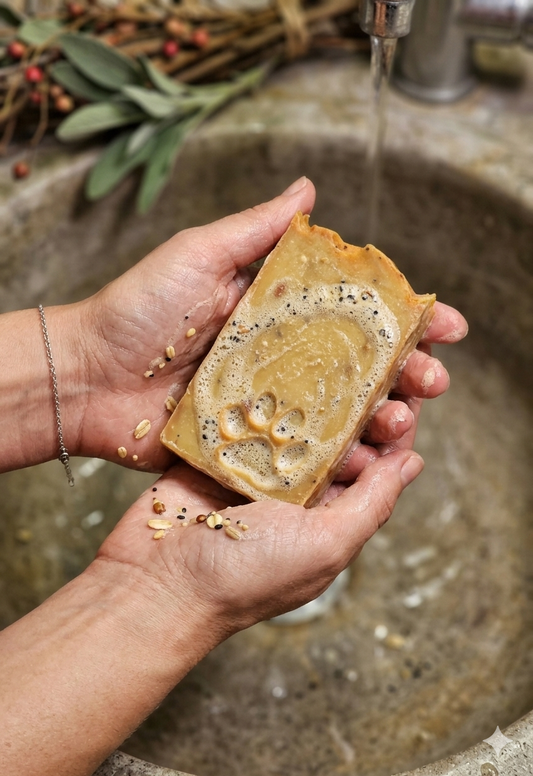 Lemon Poppy Seed Handmade Soap | Exfoliating & Moisturizing Natural Soap Bar