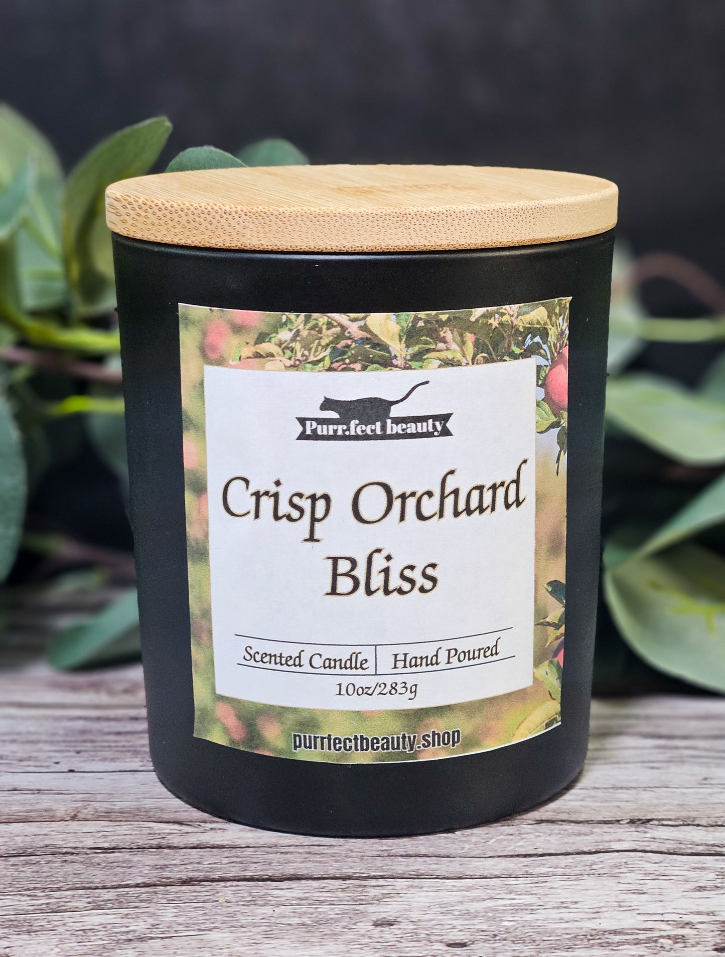 Crisp Orchard Bliss-Apple, Cinnamon, & Vanilla Candle
