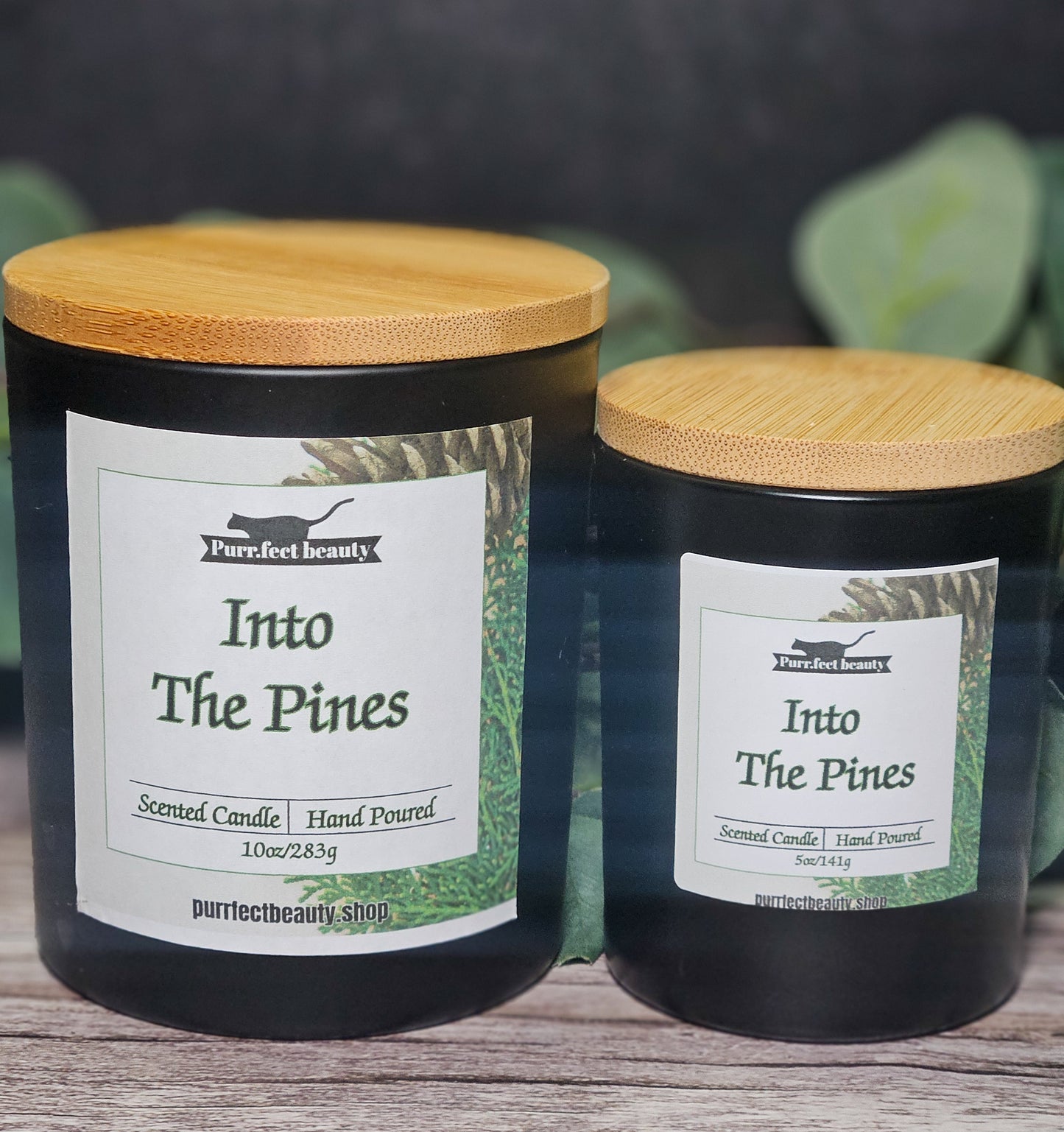 Into the Pines – Evergreen Forest Candle | Winter Pine Home Fragrance
