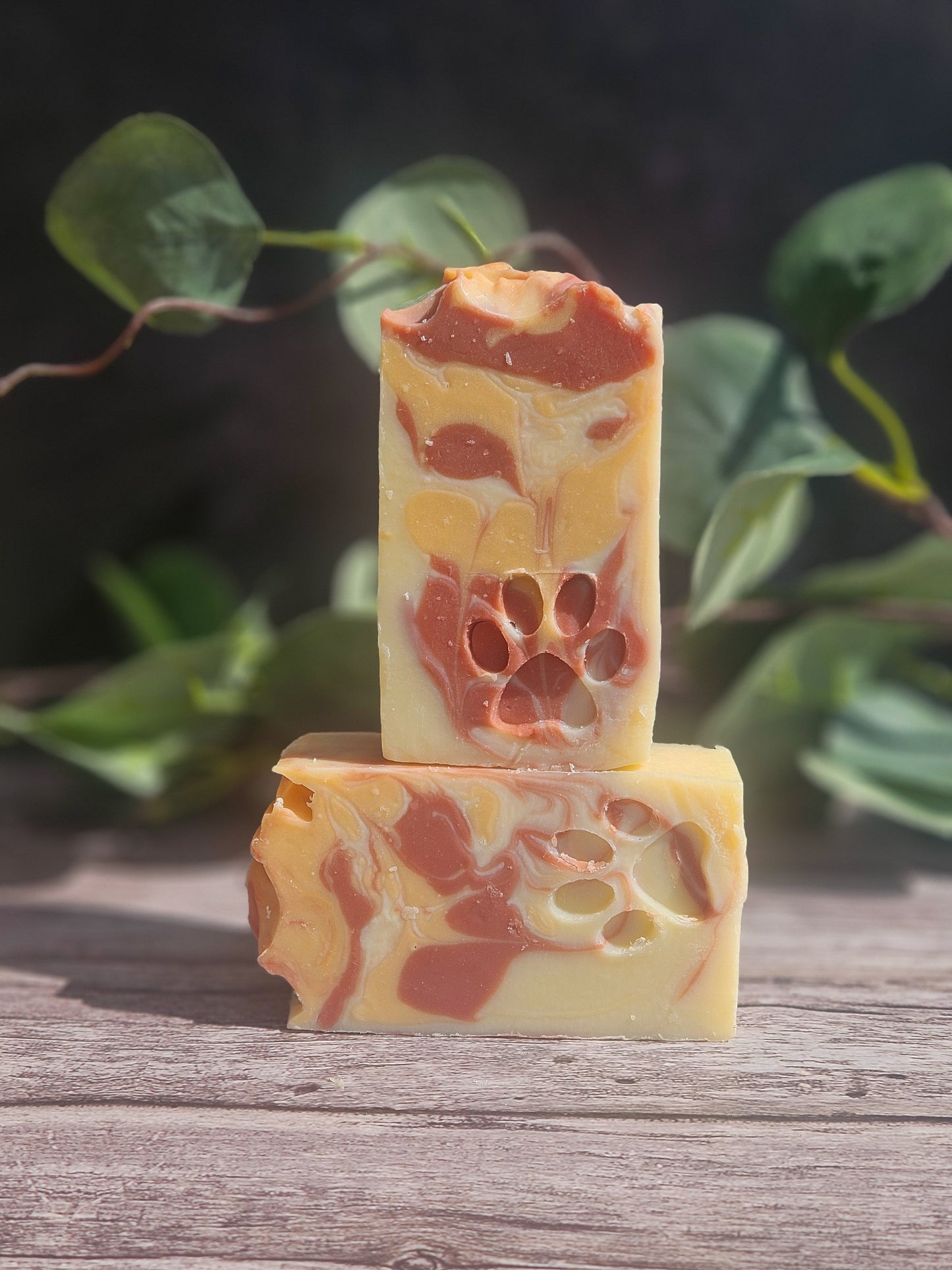 Holiday Soap Gift Bundle – Natural Soap, Soap Saver & Soap Dish | Perfect Christmas Gift Set