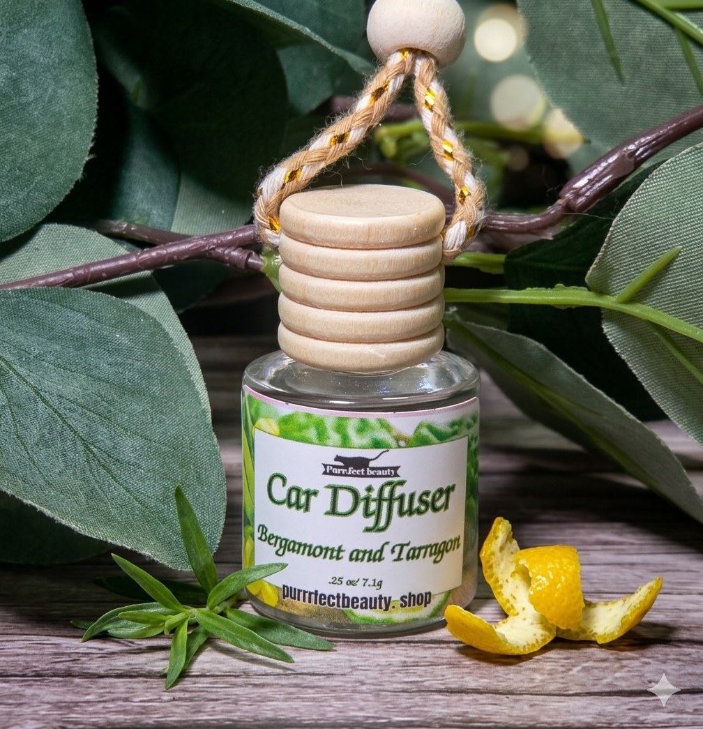Car Diffuser | Long-Lasting Car Air Freshener