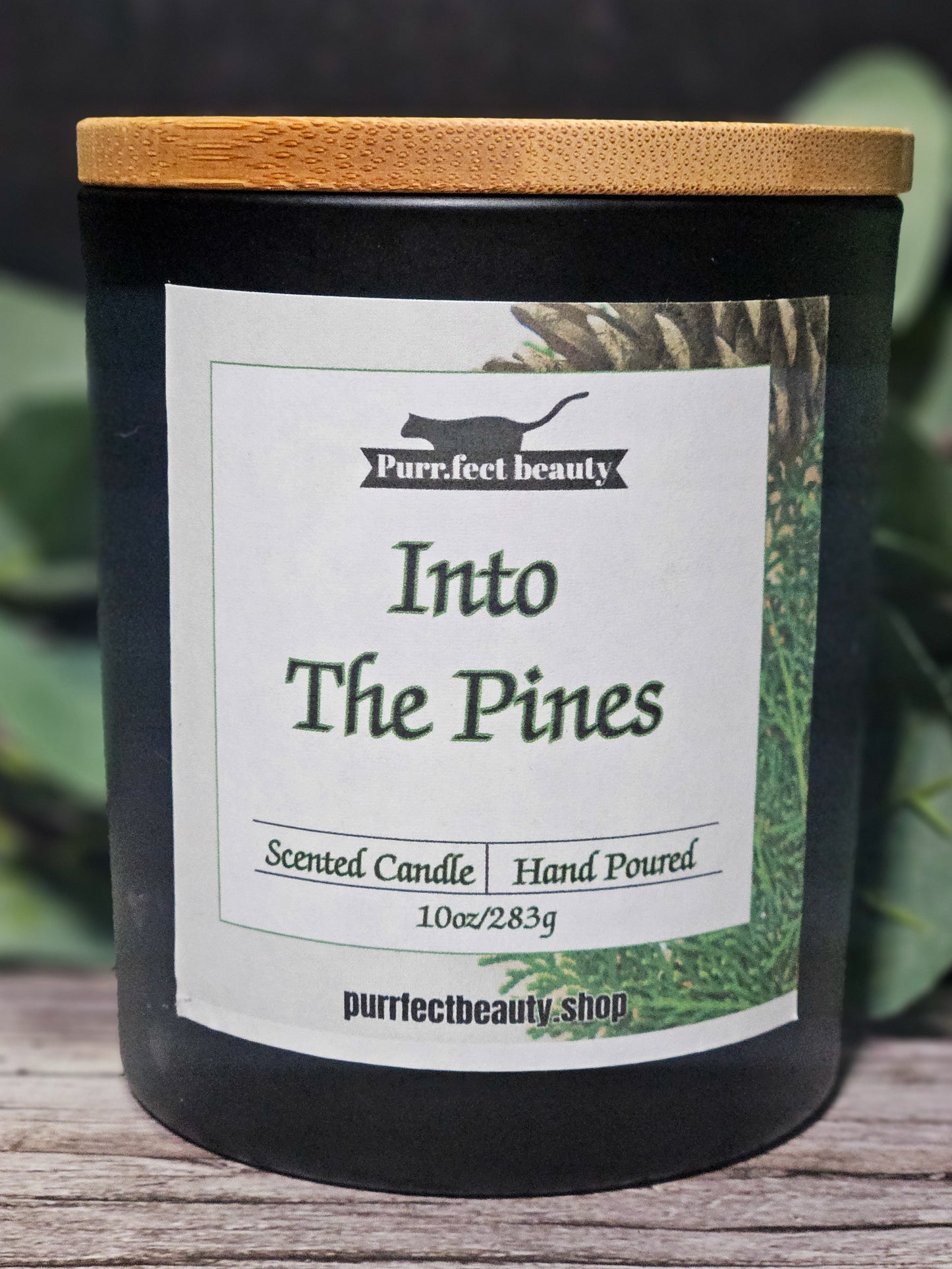 Into the Pines – Evergreen Forest Candle | Winter Pine Home Fragrance