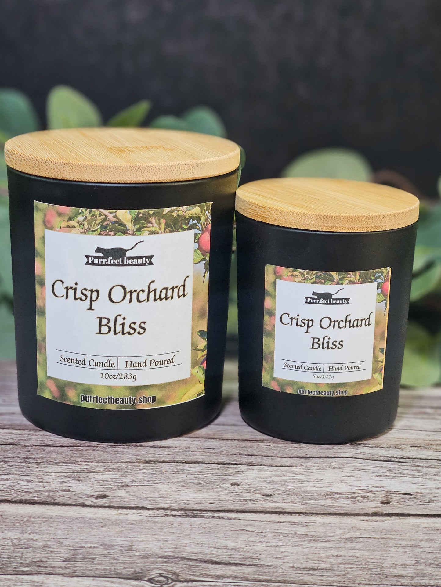 Crisp Orchard Bliss-Apple, Cinnamon, & Vanilla Candle