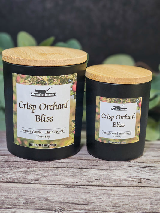 Crisp Orchard Bliss-Apple, Cinnamon, & Vanilla Candle