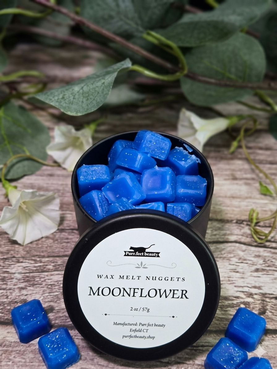 Wax Melt Nuggets | Hand-Poured, Long-Lasting Home Fragrance