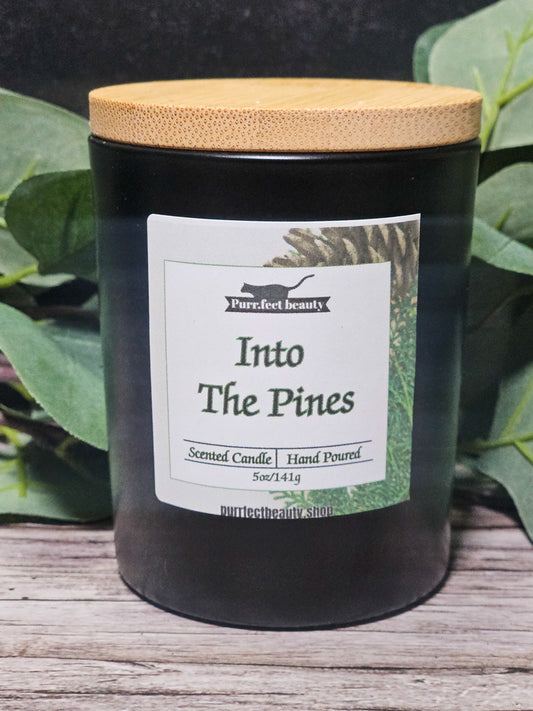 Into the Pines – Evergreen Forest Candle | Winter Pine Home Fragrance