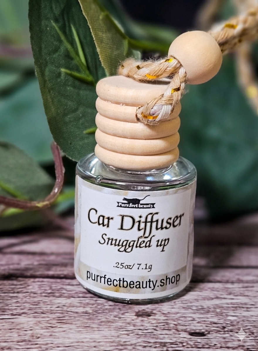 Car Diffuser | Long-Lasting Car Air Freshener