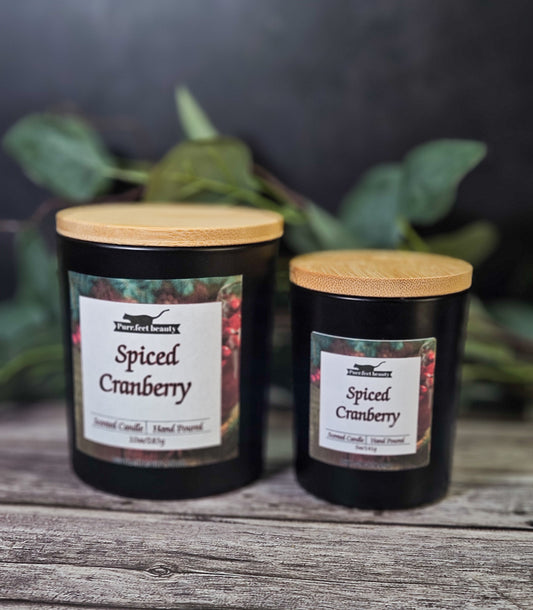 Spiced Cranberry Candle – Warm Cinnamon, Orange Zest & Bayberry Woods | Holiday Scented Candle